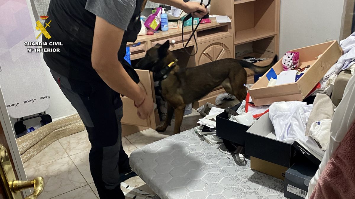 Foto de la noticia