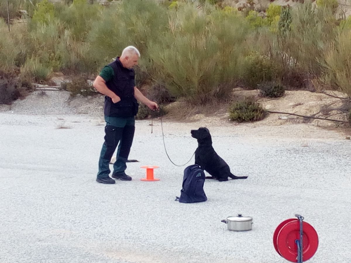 Foto de la noticia