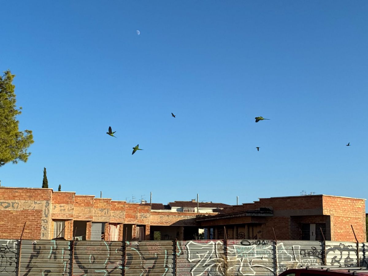 Foto de la noticia