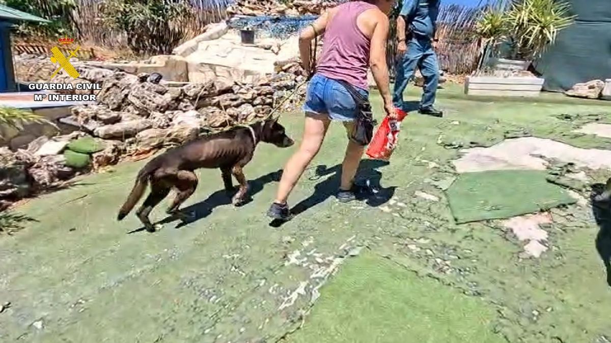Foto de la noticia
