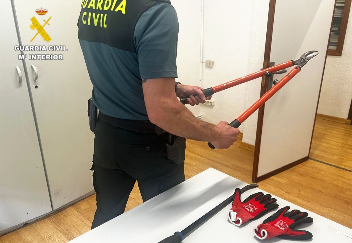 Foto de la noticia