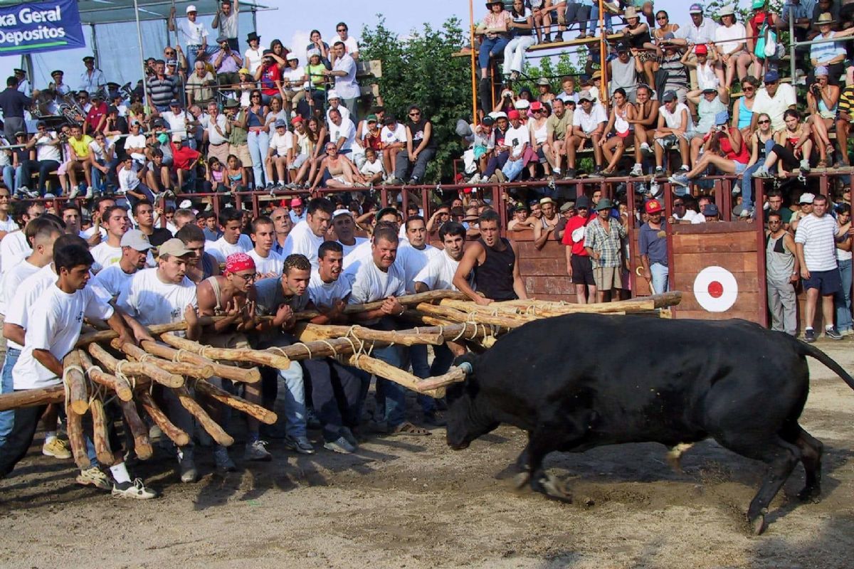 Foto de la noticia