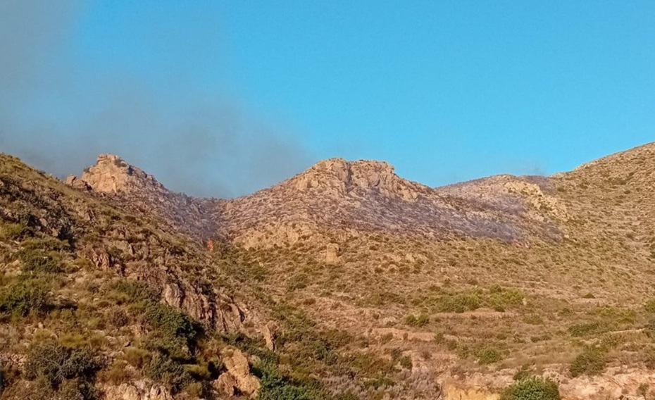 Foto de la noticia