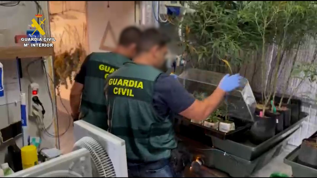 Foto de la noticia