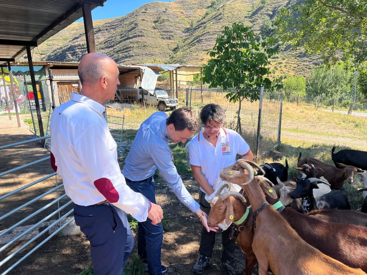 Foto de la noticia