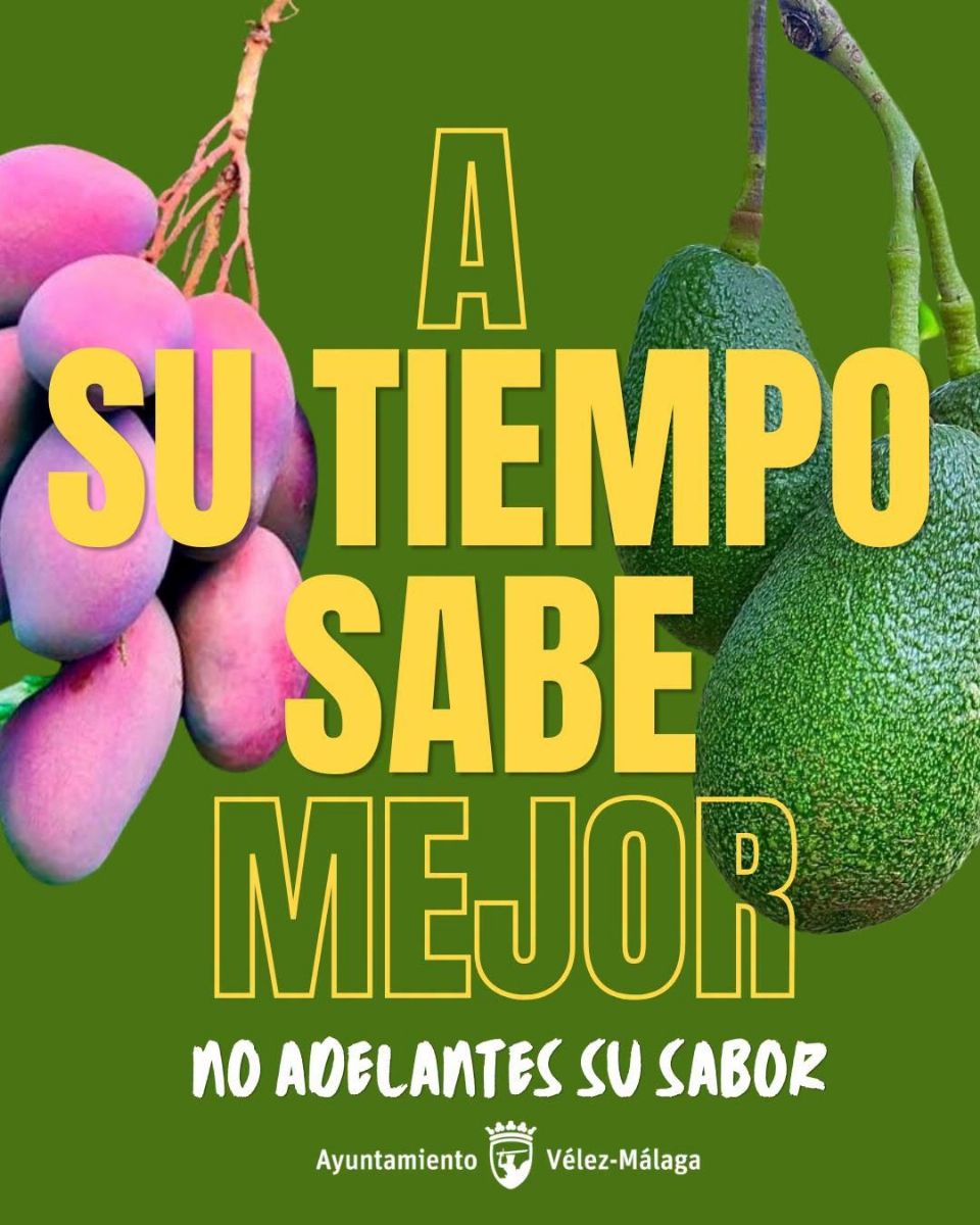 Foto de la noticia