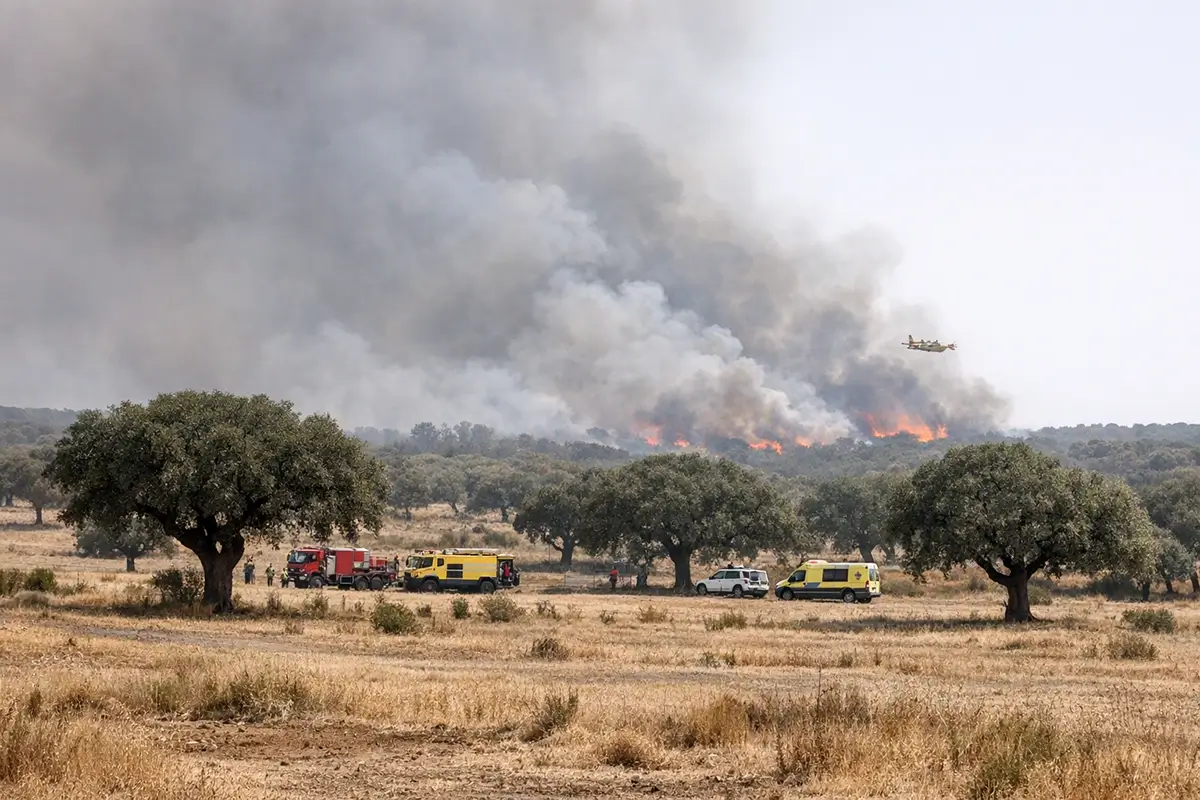 Foto de la noticia