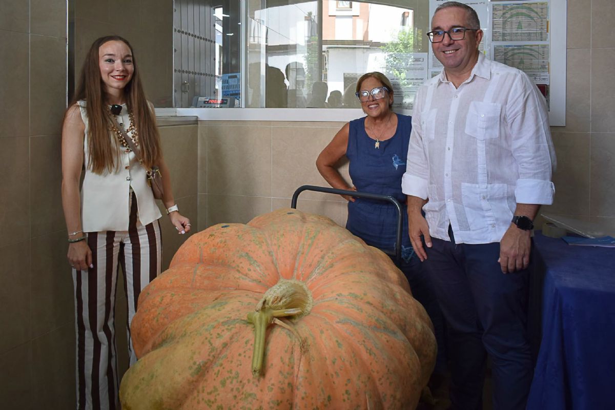 Foto de la noticia