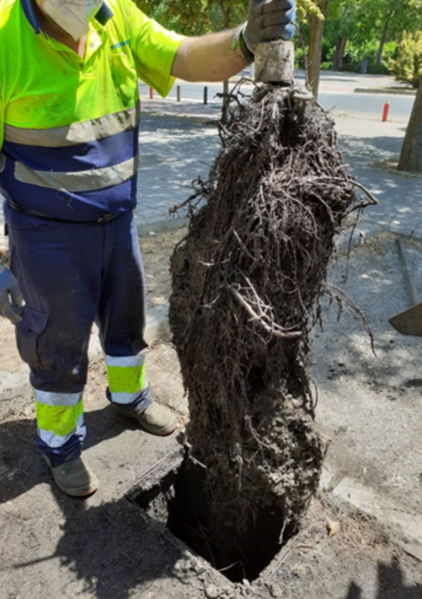 Foto de la noticia