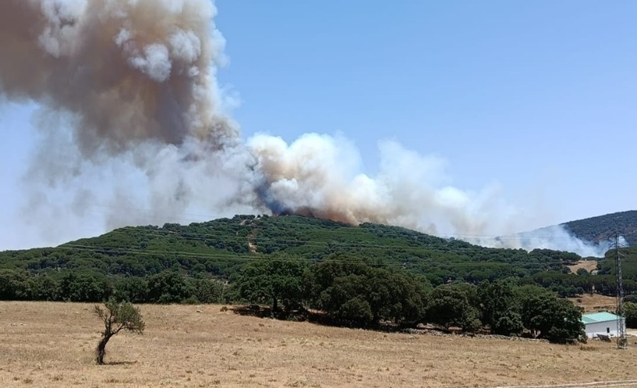 Foto de la noticia