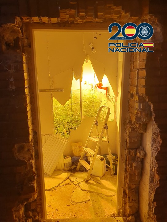 Foto de la noticia