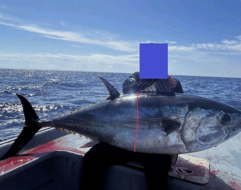 Foto de la noticia