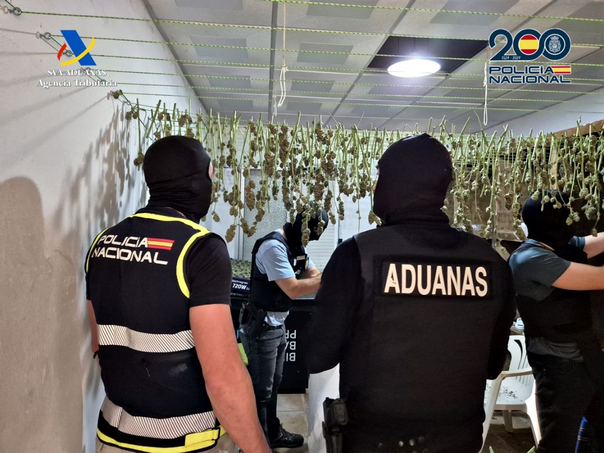 Foto de la noticia