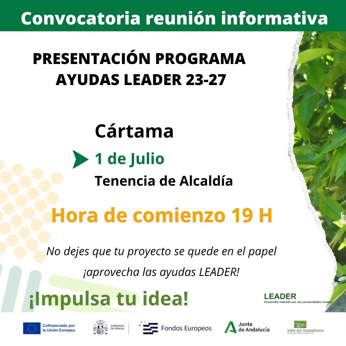 Foto de la noticia