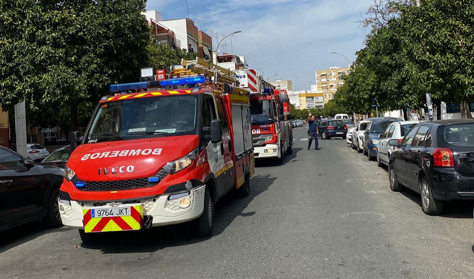 Foto de la noticia