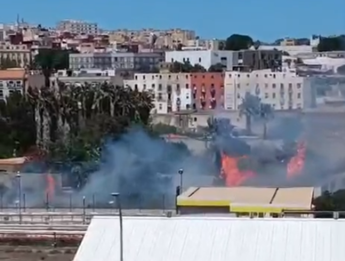 Foto de la noticia