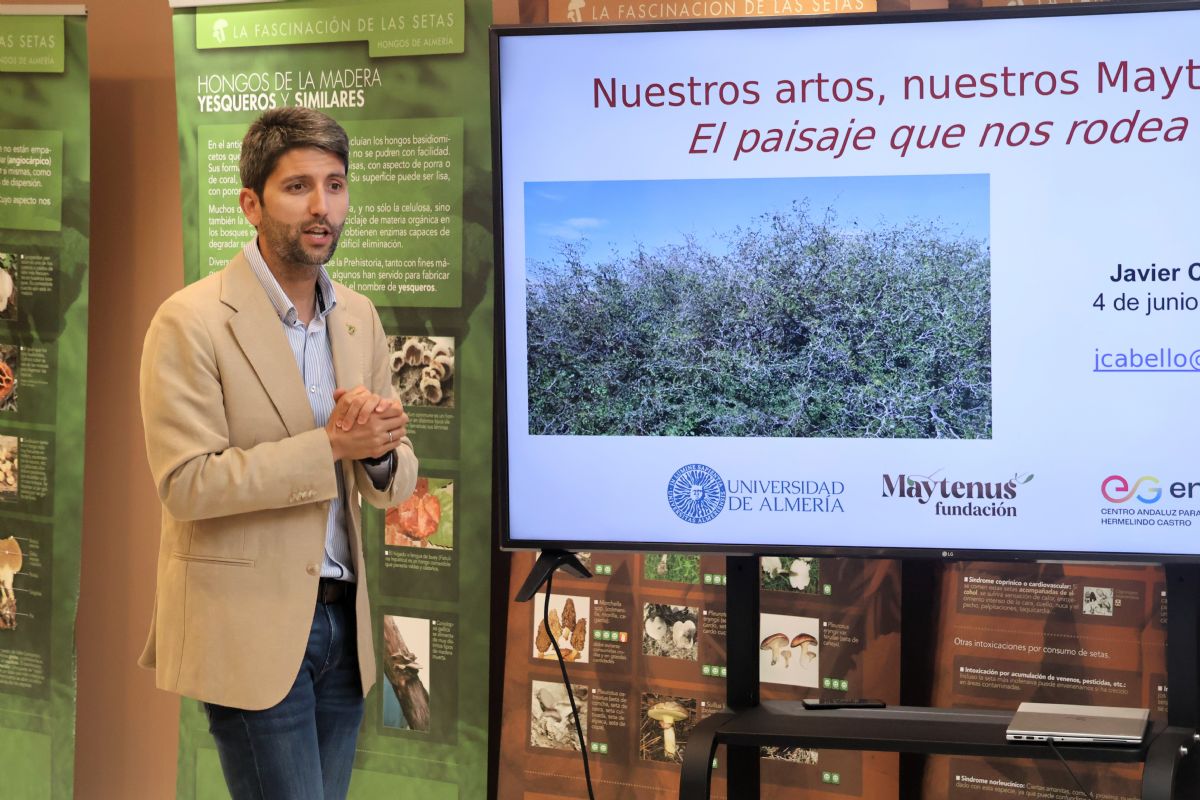 Foto de la noticia