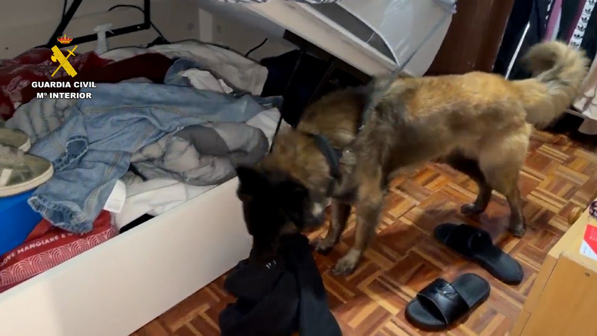 Foto de la noticia