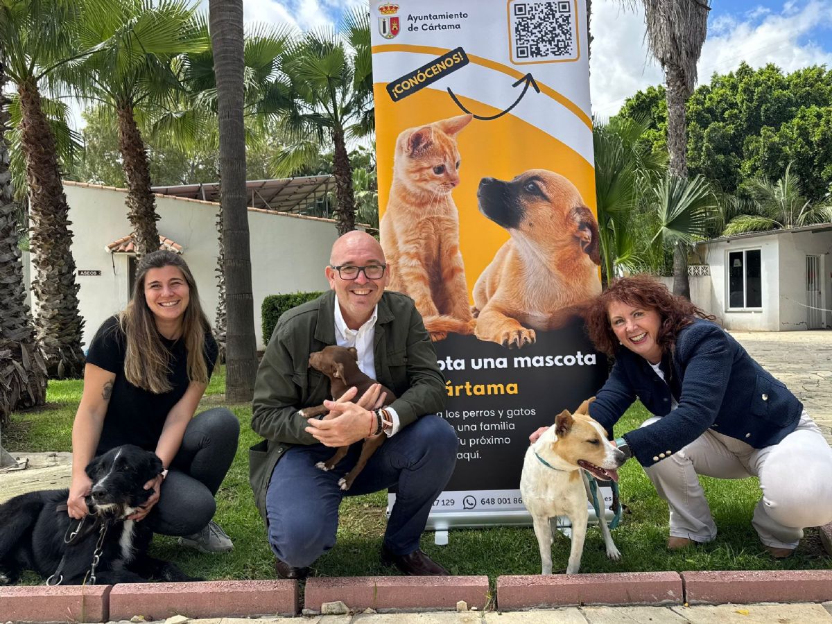 Foto de la noticia