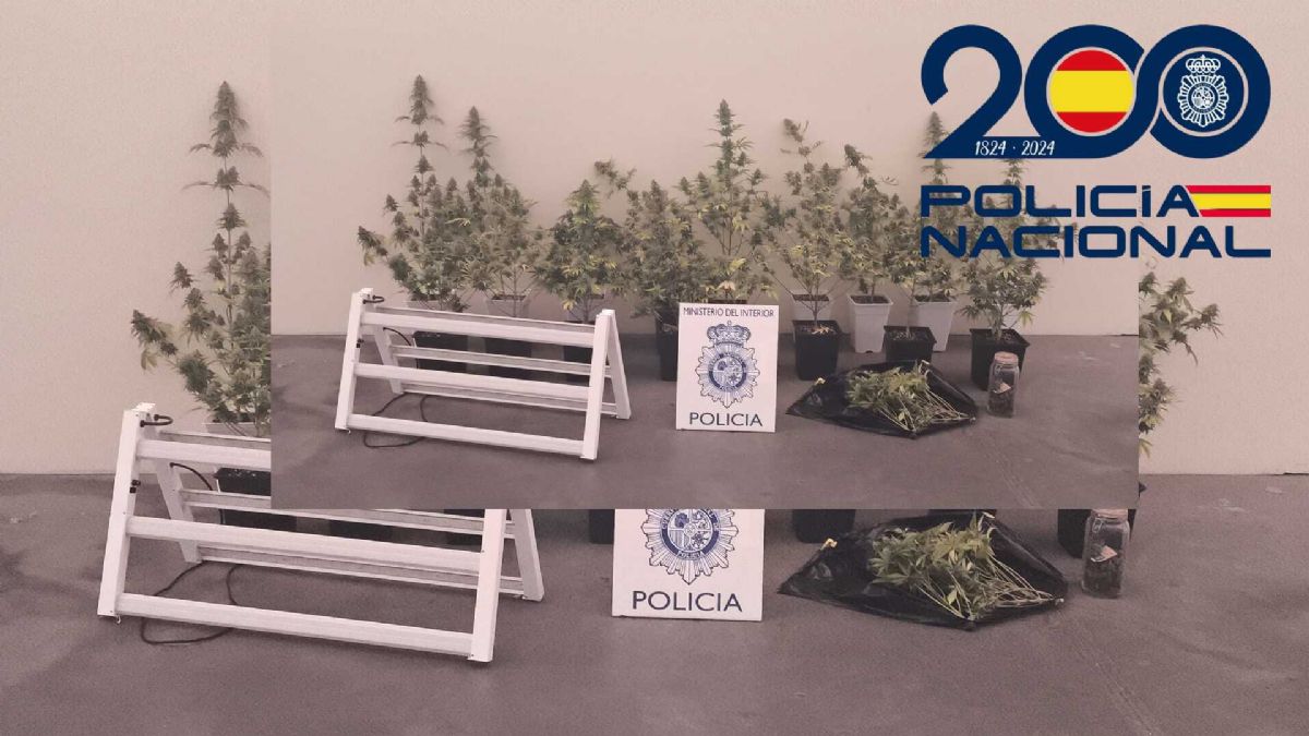 Foto de la noticia