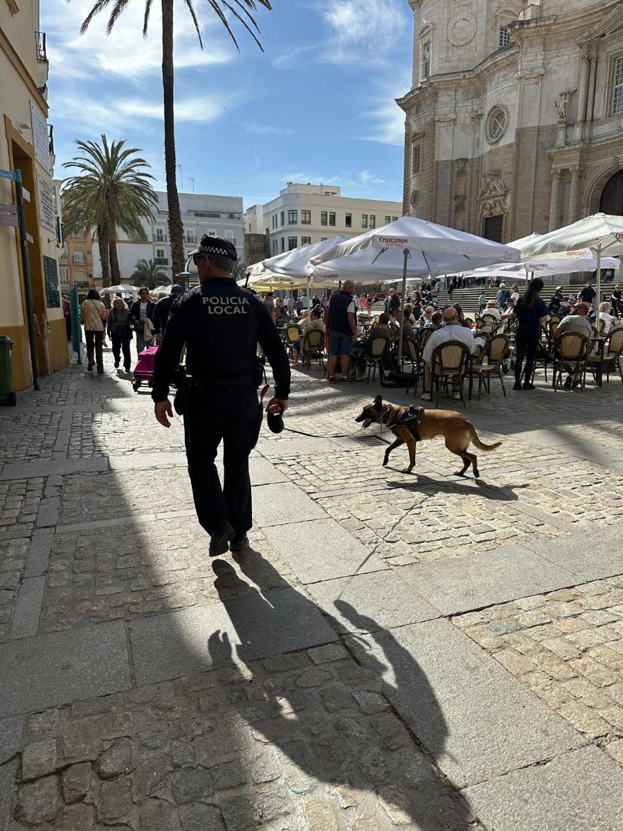 Foto de la noticia